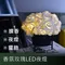 香氛玫瑰LED擴香夜燈-40朵經典花盆款(附贈USB充電插頭)