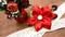 [DIY組合包] 緞帶花束髮束(Ribbon Hair band-DIY Pack)