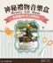 [DIY組合包] DIY手工/不織布音樂盒/DIY材料包/手工藝/無紡布音樂盒/聖誕節