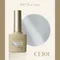 ARTiS di Voce 貓眼甲油膠8g CE101