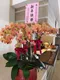 B1-35│蘭花盆栽│新北市花店│蘆洲花店│榮升誌慶│喬遷之喜│開幕誌慶│過年送禮│訂花│送花