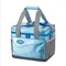 [ Coleman ]  XTREME保冷袋-15L/25L/35L│ CM-22212/CM-22238/CM-22215 收納袋 保鮮袋