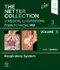 The Netter Collection of Medical Illustrations Volume 3: Respiratory System