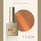 ARTiS di Voce 貓眼甲油膠8g CE108