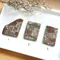 【絕版】超光鐵隕石切片16~18g