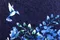 特價布/【特價印花布】蜂鳥與花瓶(圖案布2尺/片)