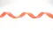 DKN0002 經典提花編織緞帶 21MM  (DKN0002 JACQUARD RIBBON 21MM)