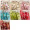 PR2752 拐杖糖印刷緞帶 9mm (PR2752 CANDY CANE RIBBON 9mm)