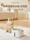 meoof｜寵物無線感應飲水機 充電版 - 不鏽鋼款