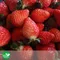 【大湖青農】詹益強-有機草莓(350公克/2盒組)