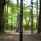 [ OWLCAMP ] 方形伸縮營柱 - 220/280cm｜營柱 伸縮營柱 方形營柱 預購