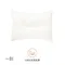 【官網預購2023/6/21~7/23 】COCO-MAT睡眠Smart枕 ，特殊的凹槽設計! 加贈限量滿額禮