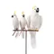 ARTIFICIAL BIRDS Parrot / Small