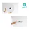 ALESSI 時鐘(白) FIRENZE WALL CLOCK WHITE #12 W