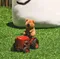 Dinotaeng - Peanut Quokka Keyring：超可愛