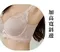 蕾絲密語 無鋼圈內衣