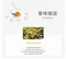 金富桂皂200g｜素顏之本｜洗手｜洗臉｜洗澡｜復活草｜桂花｜香氛｜舒適｜肥皂
