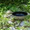 【Outdoorbase】野夫炊煙-摺疊把手陶瓷野炊煎盤