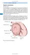 Paediatric Cardiology