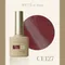 ARTiS di Voce 貓眼甲油膠8g CE127