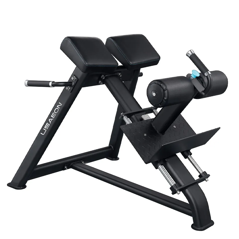 Aeon Fitness Cs 3 商業用專業可調羅馬椅