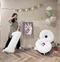 氣球外送：永恆名畫超清新主義生日套組[DNB650002]