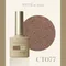 ARTiS di Voce 亮粉甲油膠8g CT077
