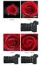 JJC尼康Nikon副廠自動對焦鏡頭接寫環AET-NKZII近攝環(11mm+16mm;支援TTL測光;適Z卡口鏡頭作Macro微距鏡)近攝接寫環