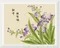 鳶尾輕舞