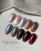 ARTiS di Voce 貓眼甲油膠8g CE084