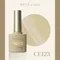 ARTiS di Voce 貓眼甲油膠8g CE123