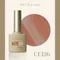 ARTiS di Voce 貓眼甲油膠8g CE126