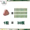 啟健綠茶萃取錠