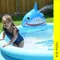 可愛鯊魚歡樂泳池