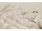 韓製寢具MAATILA－Hotel france荷葉皺褶無塵棉被組：Capri cherry花卉櫻桃
