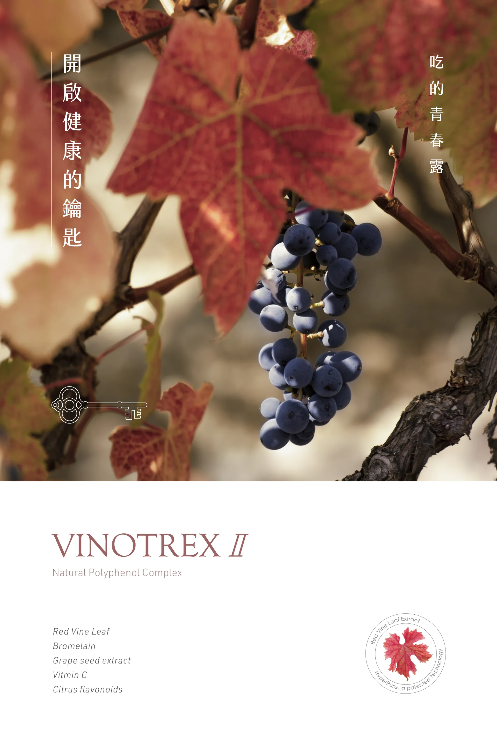紅葡萄葉多酚複方Vinotrex (80顆)