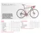 【ARGON18】Gallium CS Disc 碳纖維長途耐性+爬坡型公路自行車