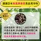 山本漢方 薏苡仁茶x3盒(10gx20包/盒)