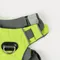 美國Alpha Pak快速調整EZ FIT™ 戶外機能胸背帶/ 奇異果綠