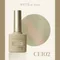 ARTiS di Voce 貓眼甲油膠8g CE102