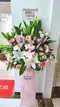 C1-26│高架花籃│新北市花店│蘆洲花店│開幕誌慶│敬輓│訂花│送花