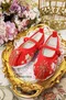 紅妝珠花繡金鞋