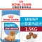 ROYAL CANIN法國皇家．SHN健康體型犬系列【MNINP小型室內幼犬】1.5公斤(原PRIJ27)