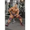 美國Schiek 1178  黑線纏繞式護膝78寸 舉重/健力/健美健身運動護具