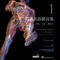 高級肌筋膜技術(1)肩膀.骨盆.腿和足(Advanced Myofascial Techniques-Volume1:Shoulder,Pelvis,Leg and Foot 1/e )