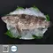 【永安區漁會】青斑條凍(石斑魚)(700克/尾)(冷凍含運)_臺灣石斑世界尚讚