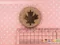 A1261 楓葉圖案鈕扣  (Maple Button)