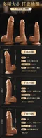 按摩棒 East''s Cock Simulation Dildo 擬真觸感