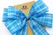 清新格紋風蝴蝶結 (PF259Fresh plaid style Butterfly Bow) ｜手作｜布置｜裝飾｜緞帶用途｜派對