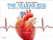 The 12-Lead ECG in Acute Coronary Syndromes